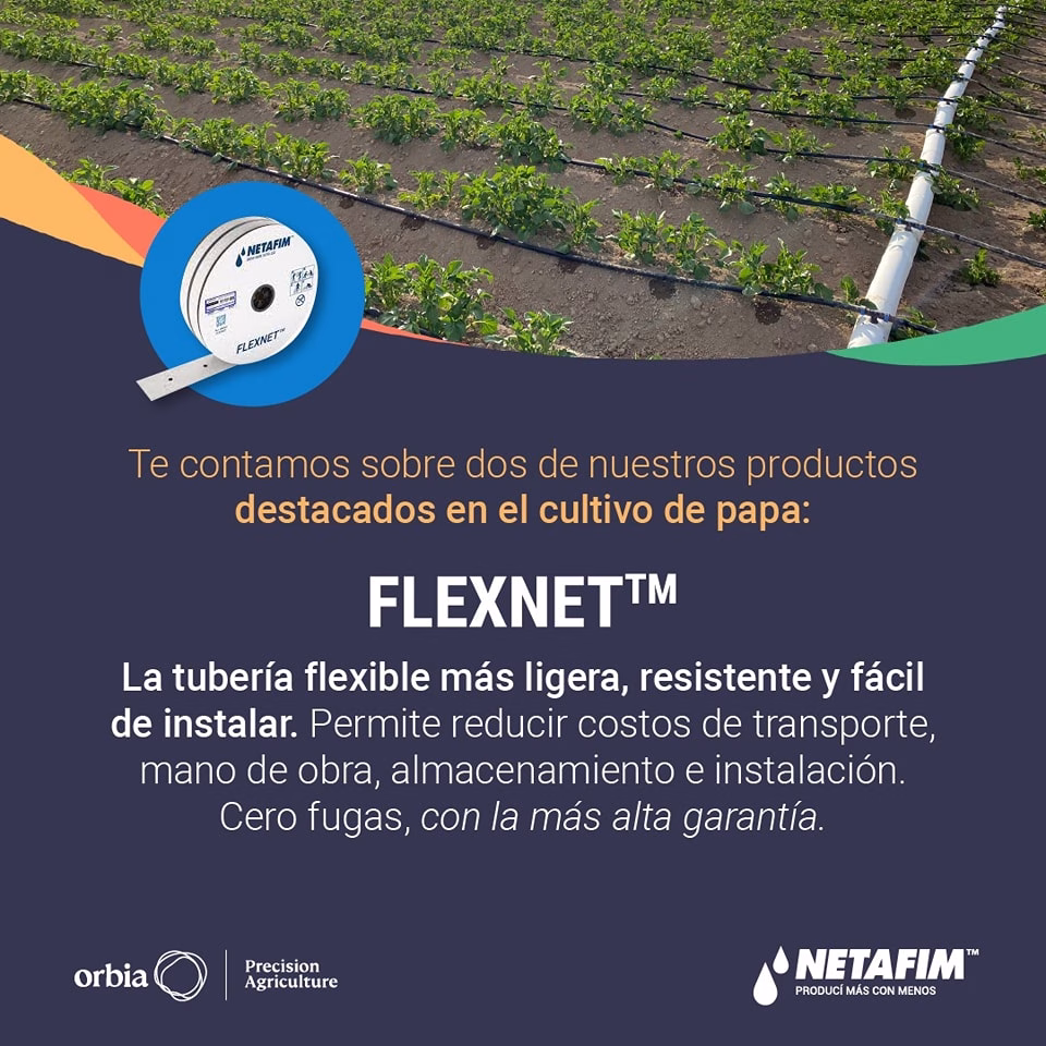 432589726 993761395606174 1151421956733405499 N