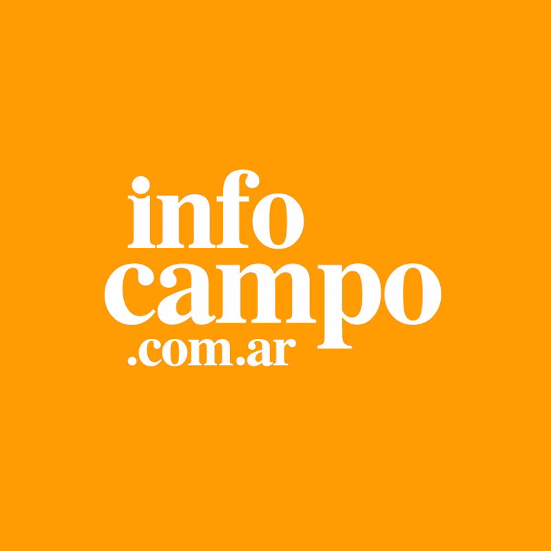Infocampo Destacada