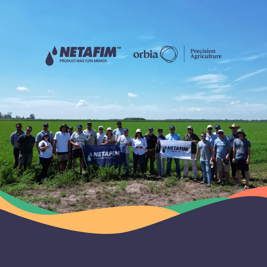 431406160 987371389578508 944217895632583553 N