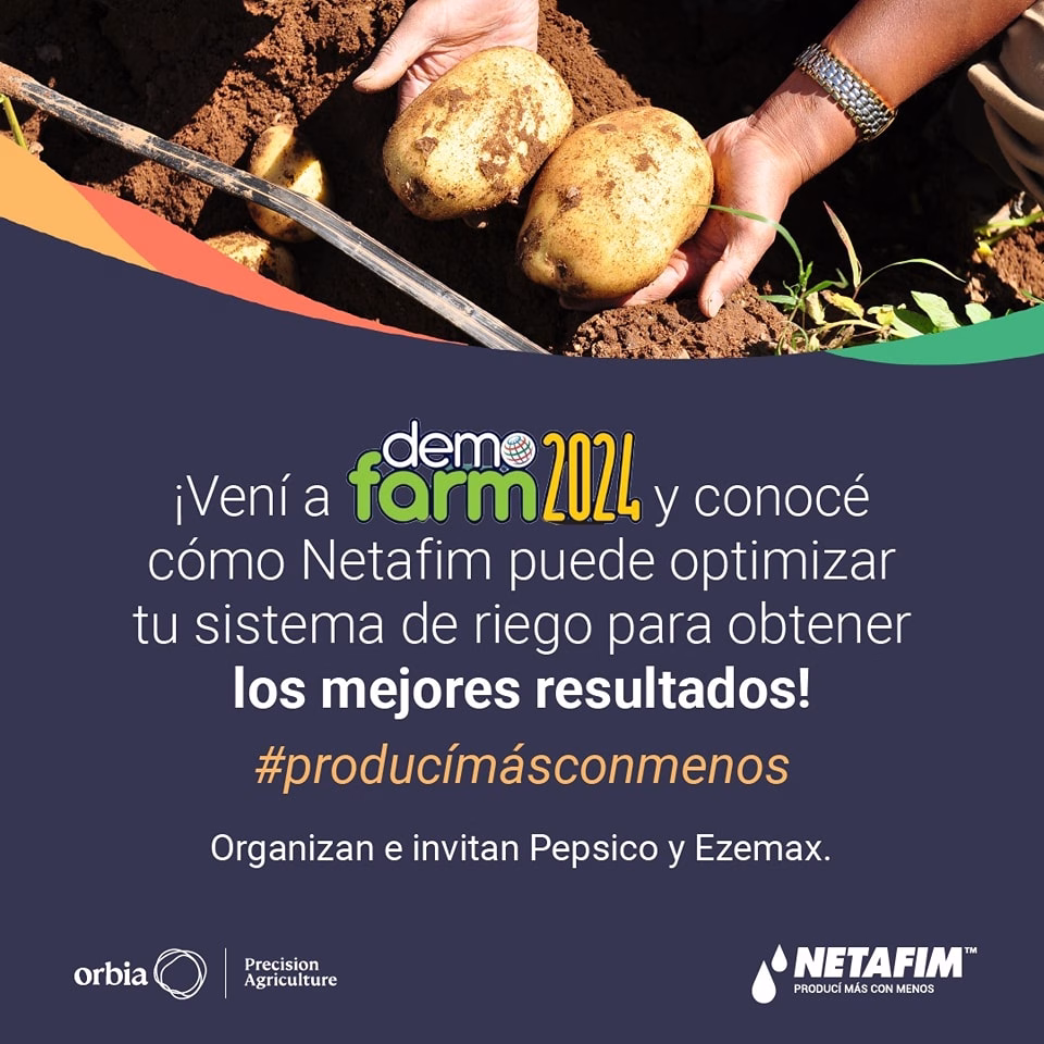 432496813 993761465606167 1088497585291734158 N